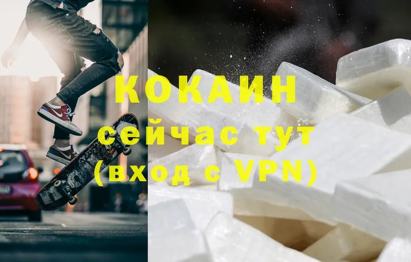 ссылка на мегу как войти  Болохово  Cocaine FishScale 