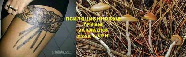 скорость Белокуриха