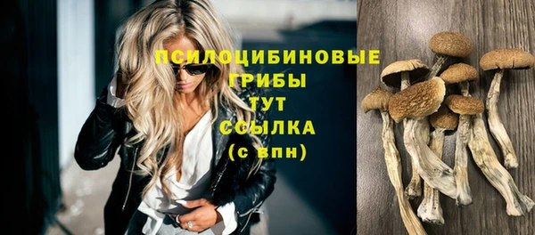 бошки Беломорск