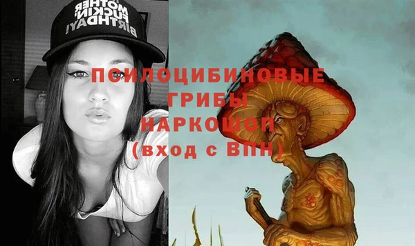 бошки Беломорск