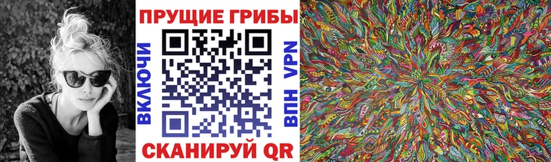 купить наркоту  Болохово  площадка официальный сайт  Галлюциногенные грибы MAGIC MUSHROOMS 